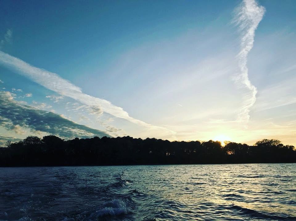 Koger Island on Pickwick Lake