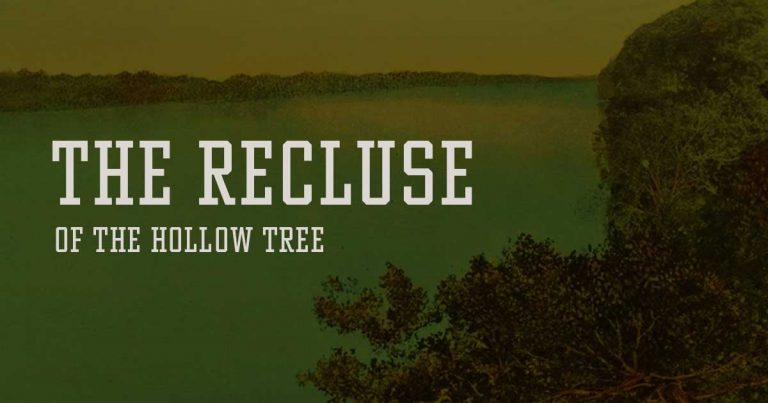 Recluse of the hollow treww