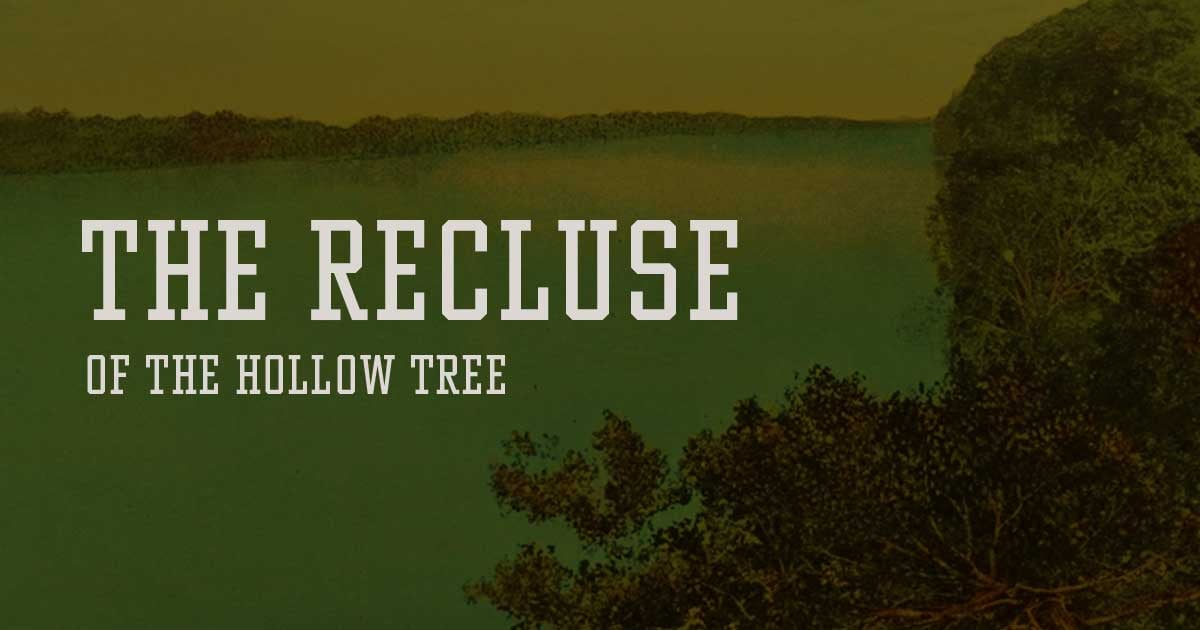 Recluse of the hollow treww