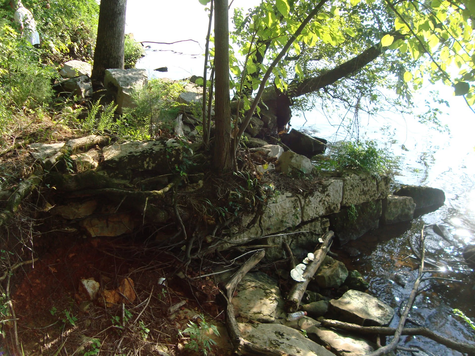 what remains of the wharf at Tuscumbia Landing