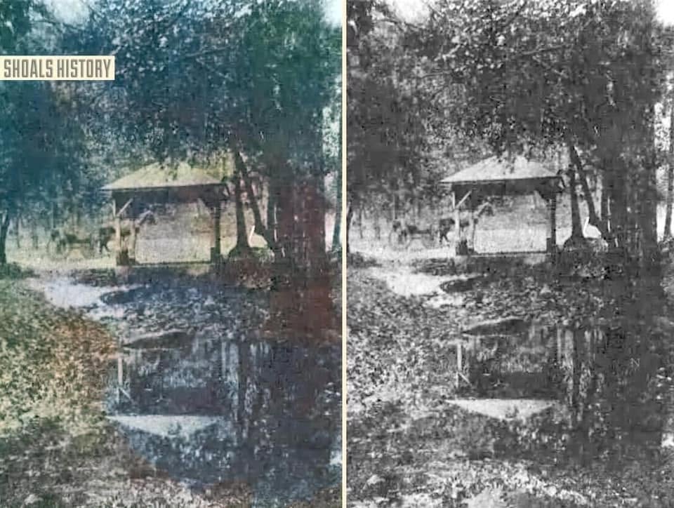 Wildwood Park spring in Florence from the year 1900.