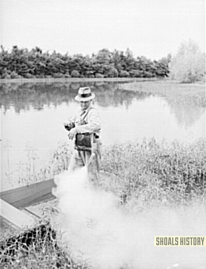 Dusting the banks of the Tennessee River with Paris Green to kill mosquito larva